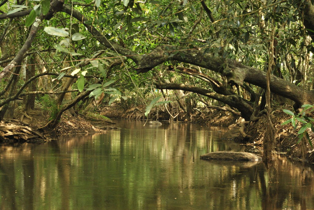 900 kandi is worth to visit in wayanad