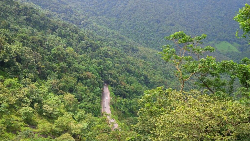 lakkidi-view-point-feel-wayanad