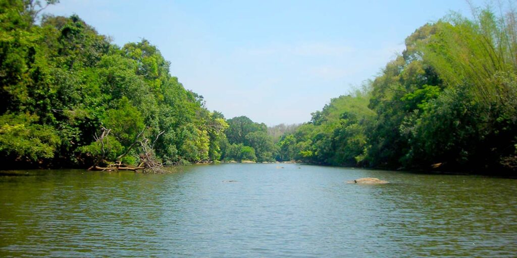 kuruva-island-feel-wayanad